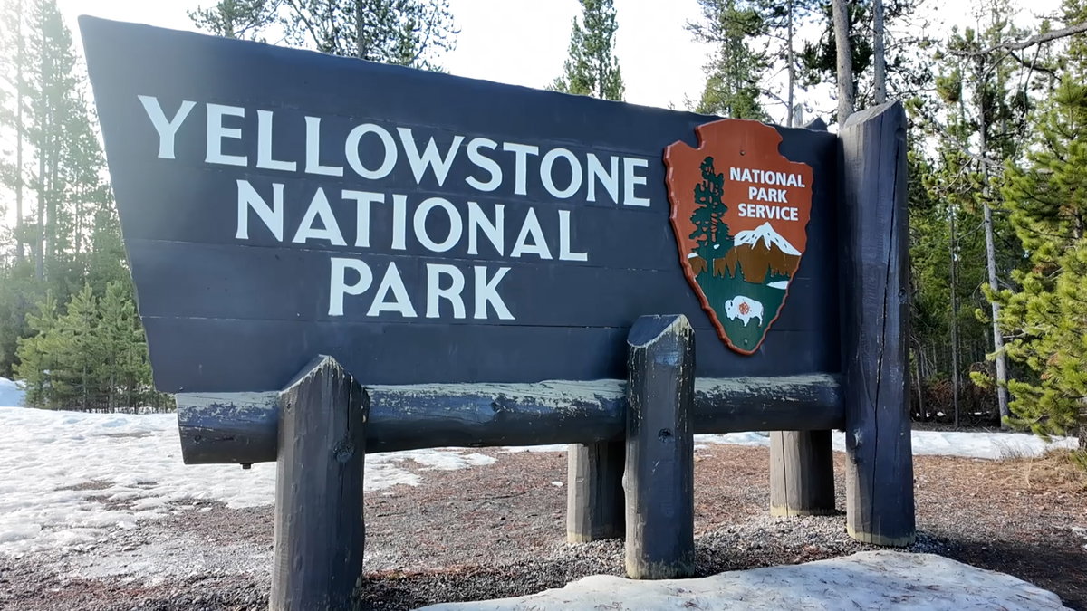 Yellowstone 2026 summer tourism shows decline in visitors - LocalNews8.com