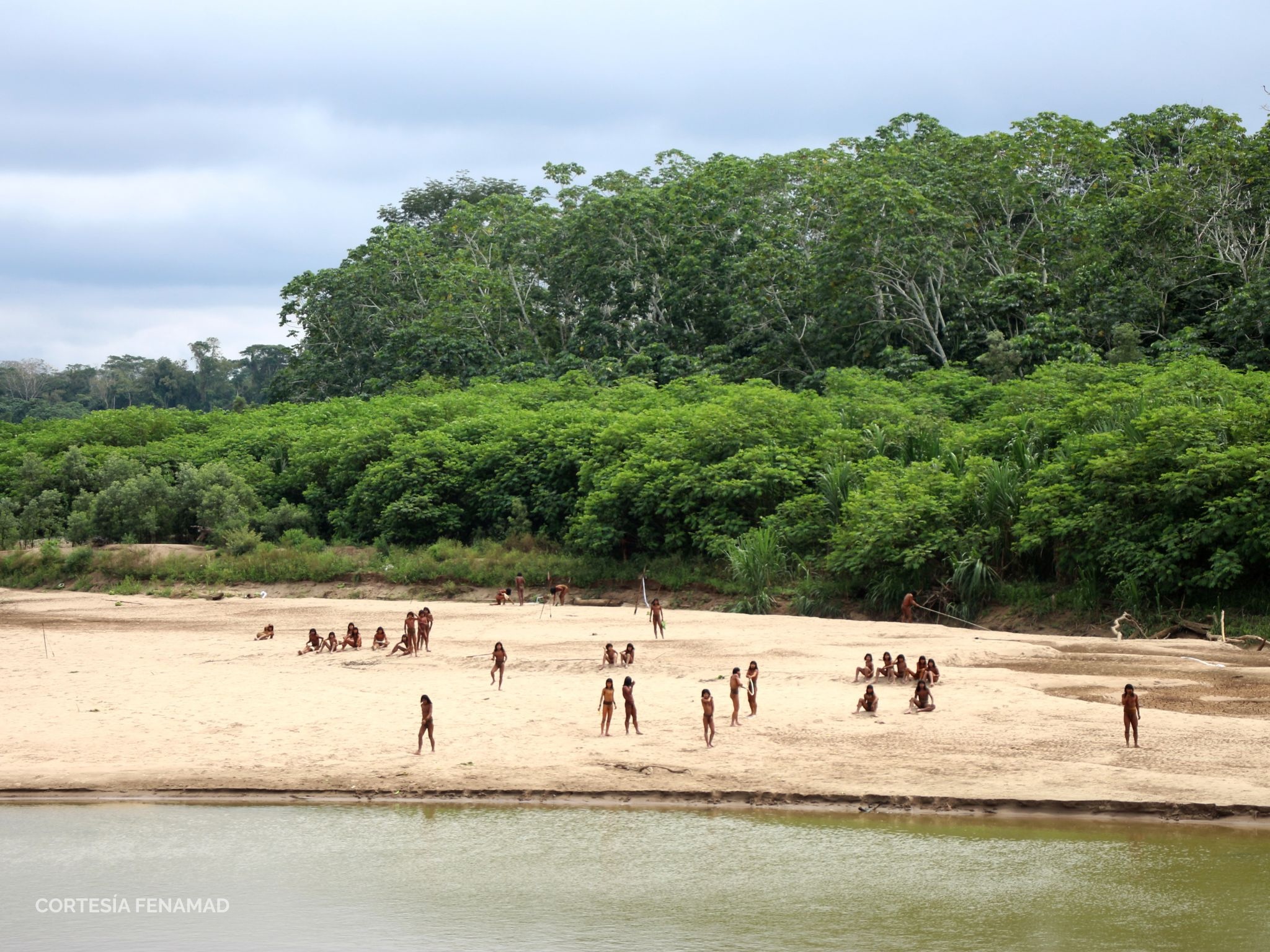 logPeru faces hearing over threats to uncontacted Indigenous groups in the Amazon