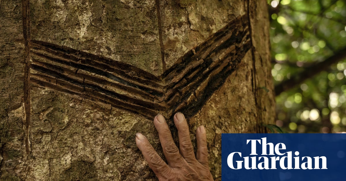 ‘Carbon fever’ threatens hard-won Indigenous rights in Bolivian Amazon | Bolivia