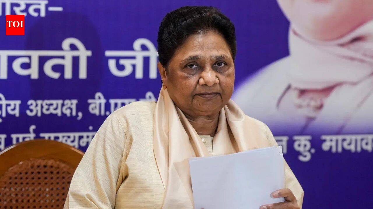 ‘Not working with his own mind’: Mayawati alleges nephew Akash remains under Siddharth’s influence | India News