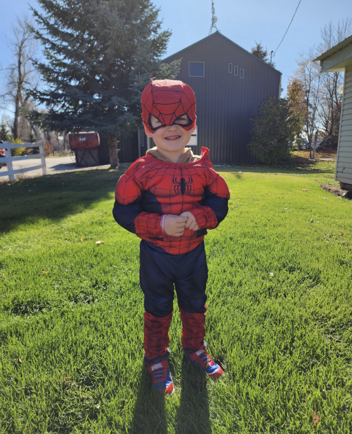 5-year-old Braxtyn seeks Stan Lee Super Kid win - LocalNews8.com