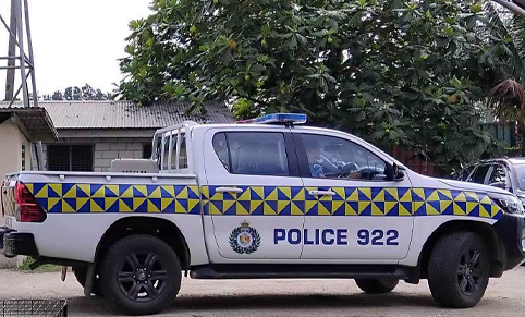 64-year-old man dies after fall at Vainii’s Pava Beach
