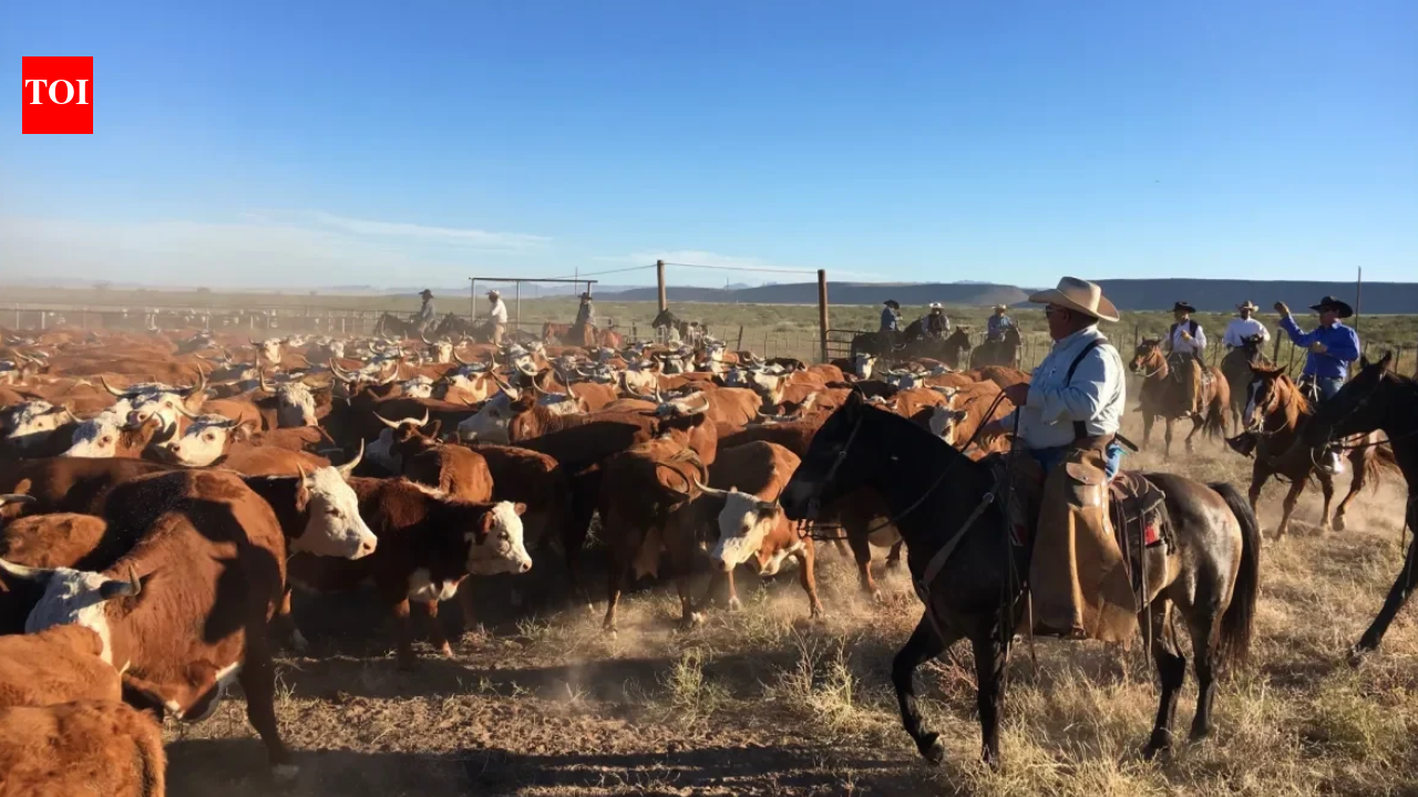 A Texas family spent nearly eight years fighting over the 65,000-acre Brite Ranch, worth at least $60 million; days before trial, the heirs agreed to divide the historic property into four pieces