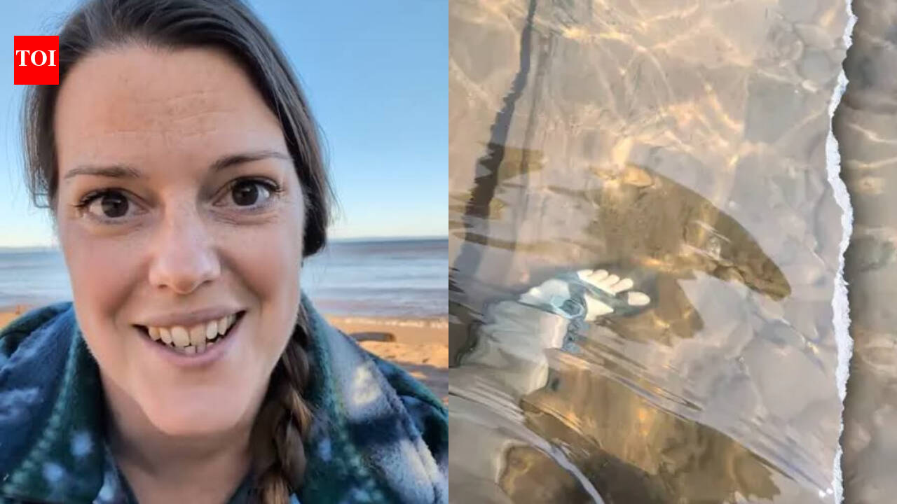 A Wisconsin mother and her 9-year-old son spotted a century-old tugboat beneath Lake Superior after visiting the same beach for years; unusually clear water revealed the A.H. Pitz, abandoned near the Amnicon River in 1951