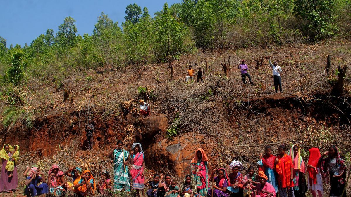 Activists seek Governor’s intervention for release of people arrested in Odisha’s bauxite region