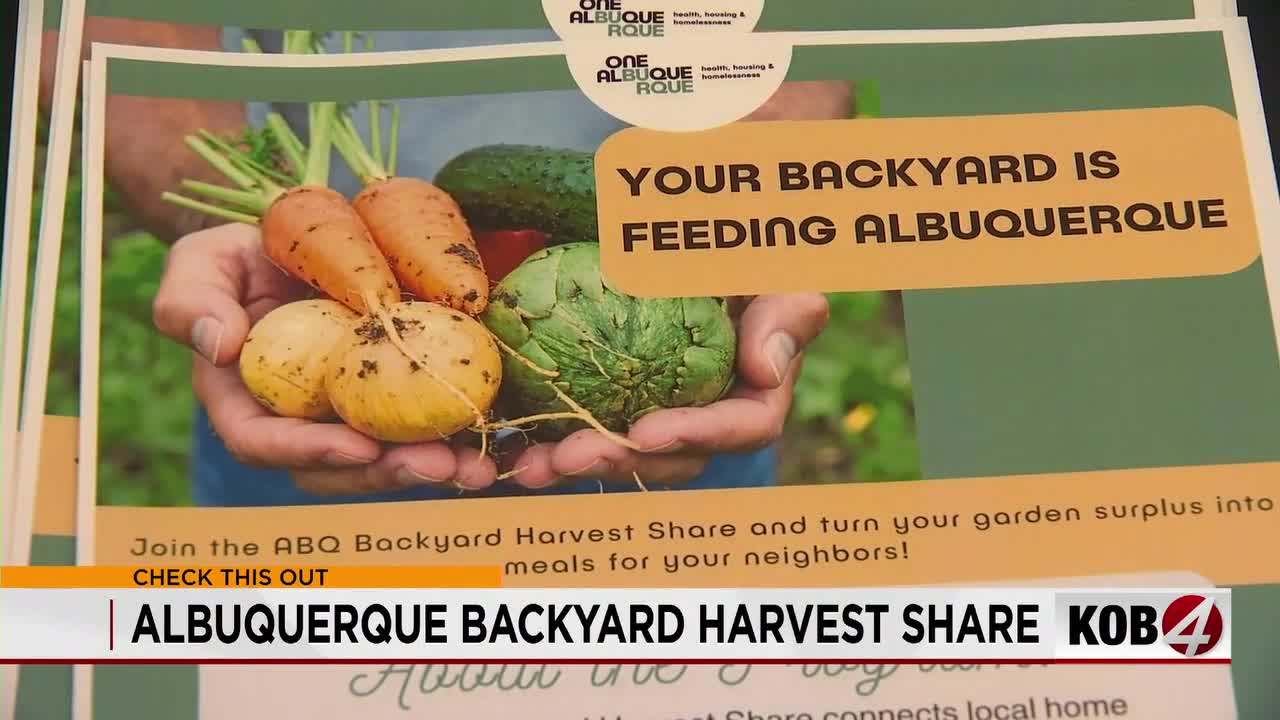 Albuquerque launches backyard harvest share program