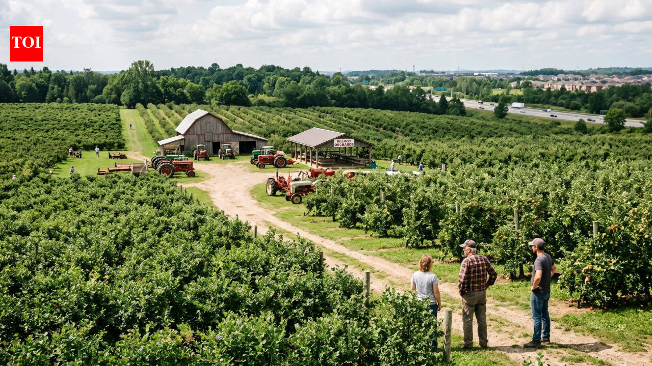 An Ontario farmer says he turned down a C$16 million offer for his 164-acre fruit farm; instead, his family placed 29 acres under a 999-year easement, with plans to protect the rest from development