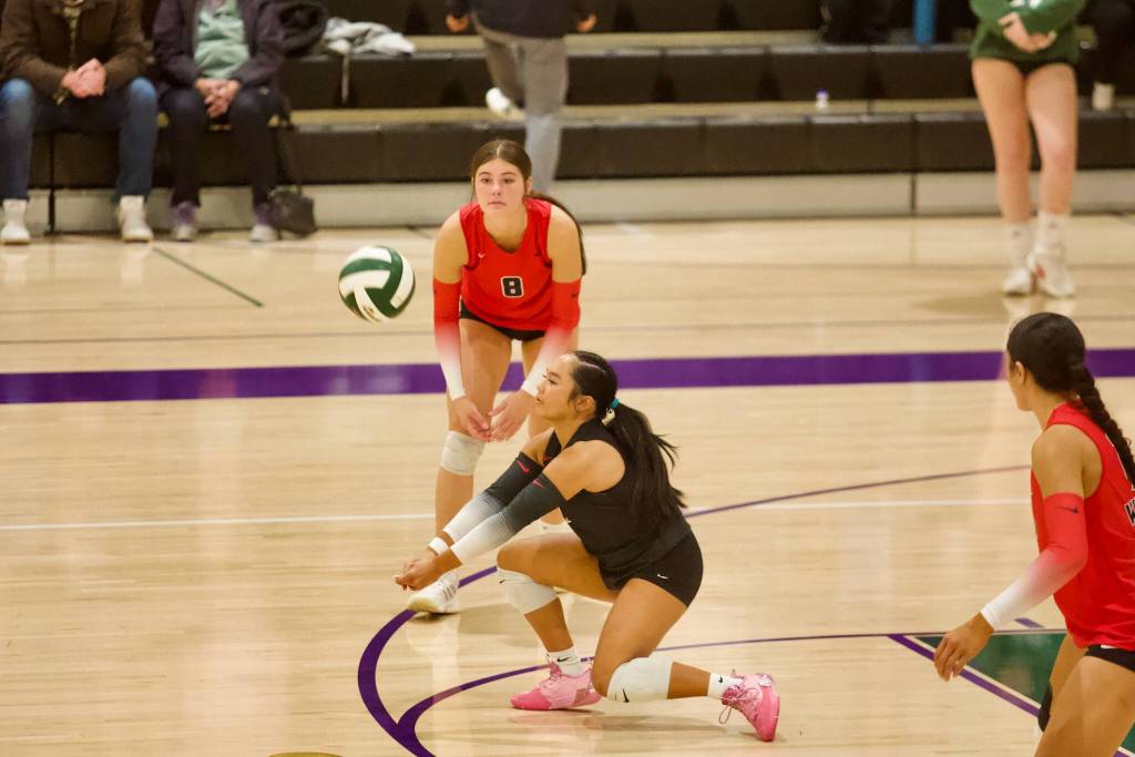 Archbishop Murphy junior Julia Navaluna drops down for a dig during the Wildcats’ 3-0 win at Edmonds-Woodway on Oct. 22, 2026. (Joe Pohoryles / The Herald)