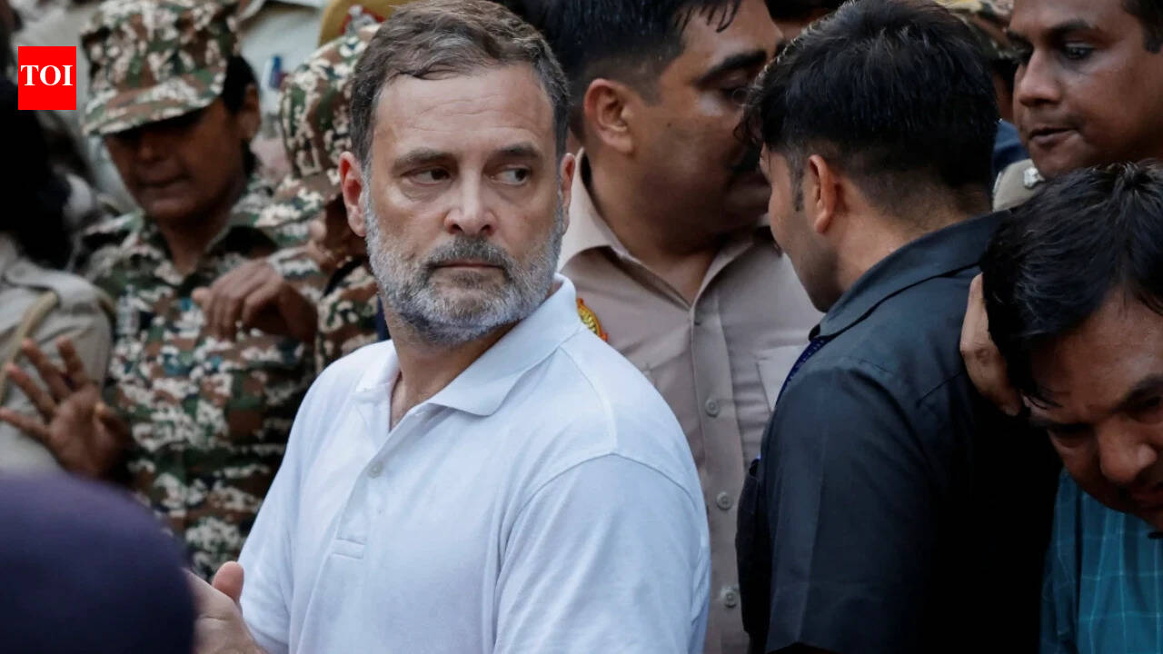 BJP: Rahul Gandhi pushing India towards anarchy, creating north-south divide | India News