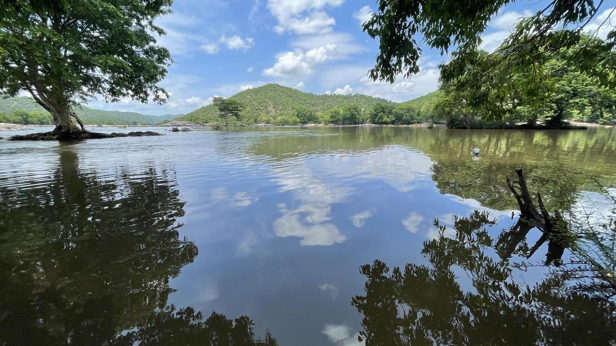 Cauvery Water Management Authority upholds Cauvery Water Regulation Committee direction to Karnataka to release 3,000 cusecs a day to Tamil Nadu for 15 days