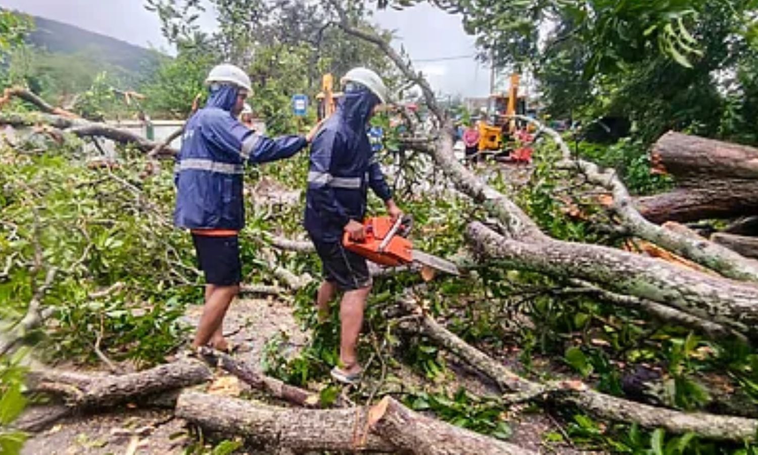 Central teams likely to visit cyclone hit areas today and tomorrow, to damage