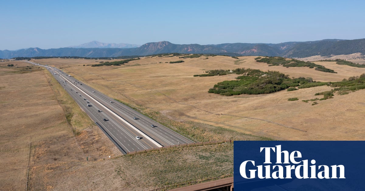 Colorado wildlife overpass cut vehicle-animal collisions by 91%, report finds | Colorado