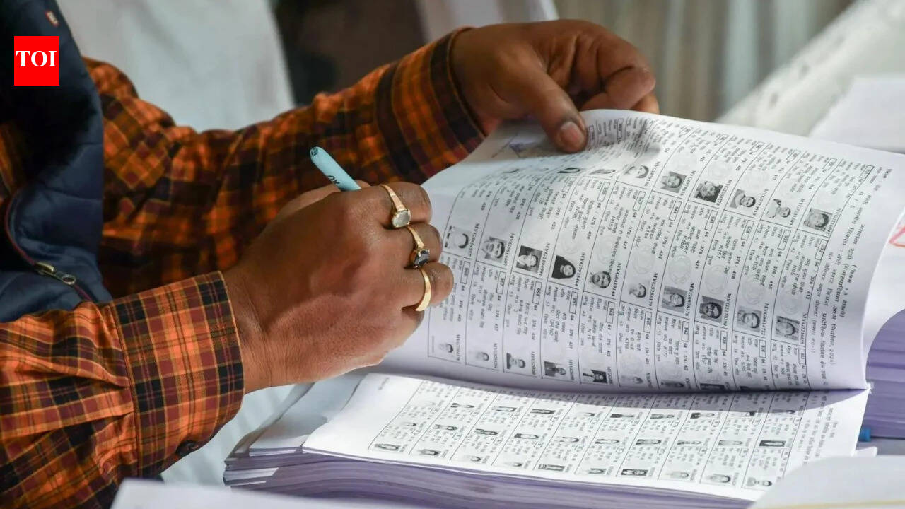 Congress to launch door-to-door campaign, hold marches over voter list 'discrepancies' | India News