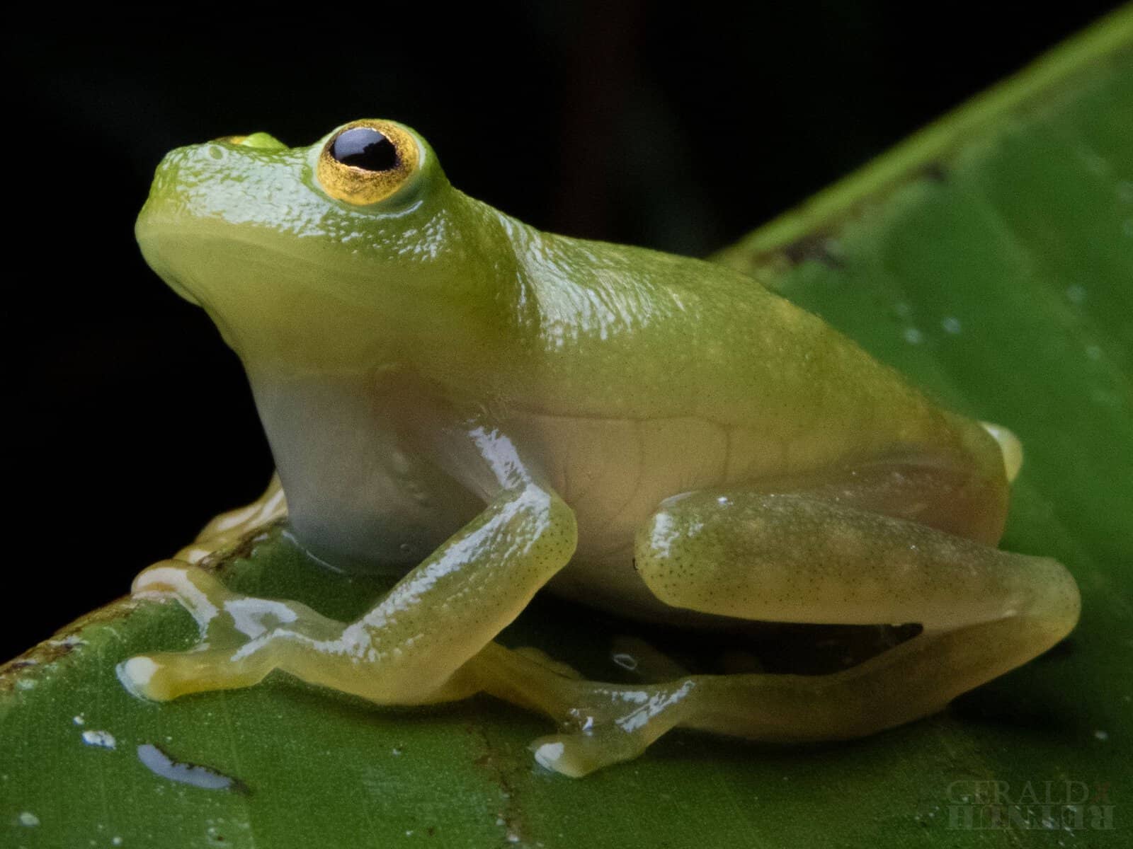 Costa Rica Travel