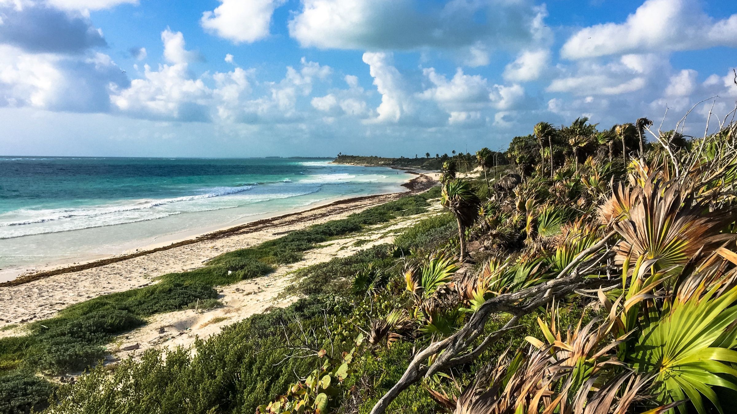 Critics call for halt to road construction in Mexico’s Sian Ka’an Biosphere Reserve