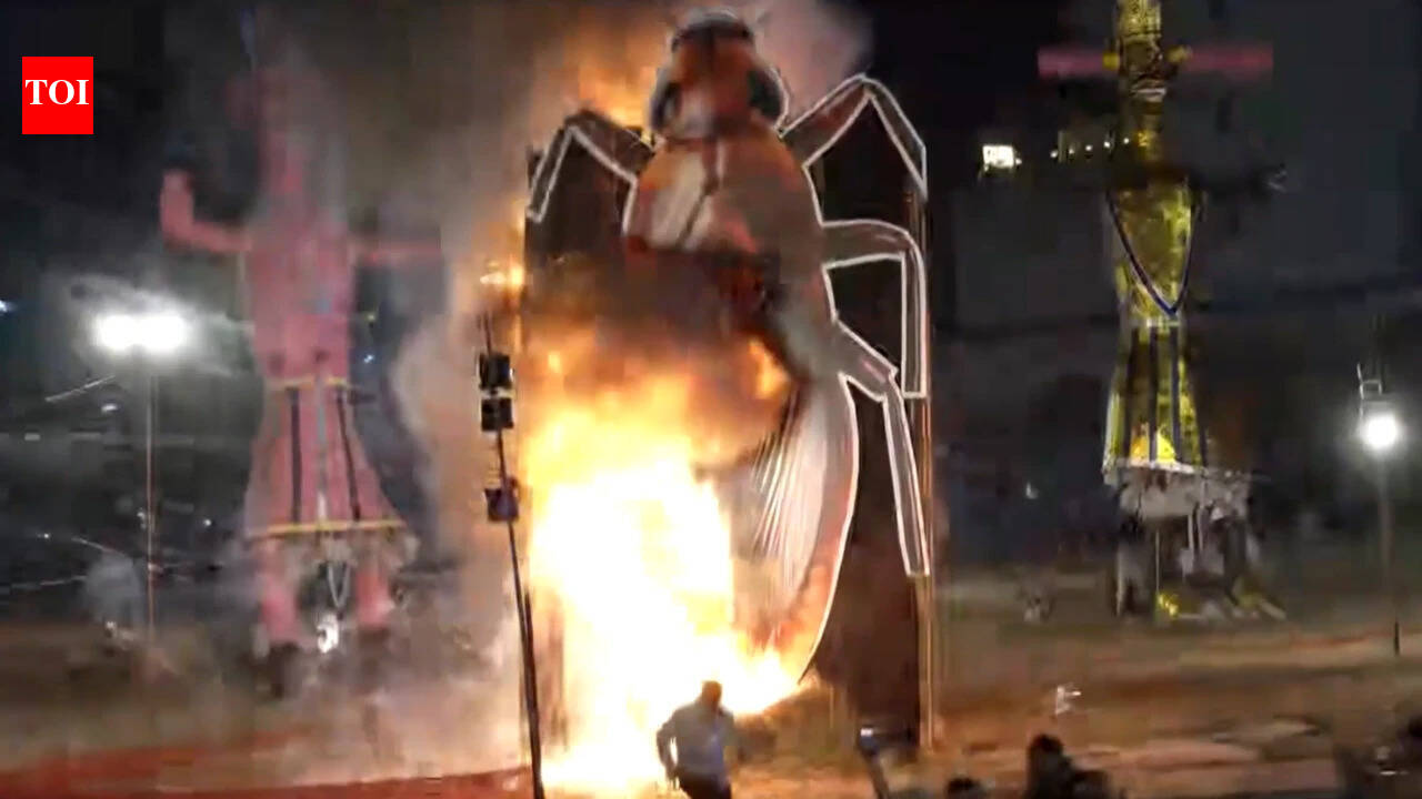 Delhi BJP leader burns giant cockroach effigy; CJP founder responds with SRK’s 'Swades' song | India News
