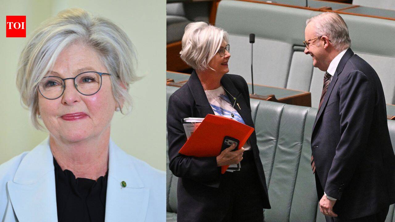 'Did a U-turn to hit her again': Chilling details emerge in Australia MP attack case