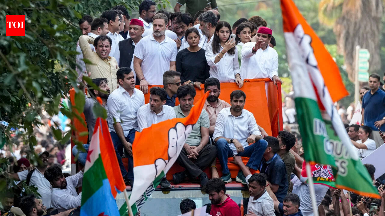'Disclose EC files, set up audit panel': Rahul Gandhi, 10 INDIA bloc leaders move SC against CEC | India News