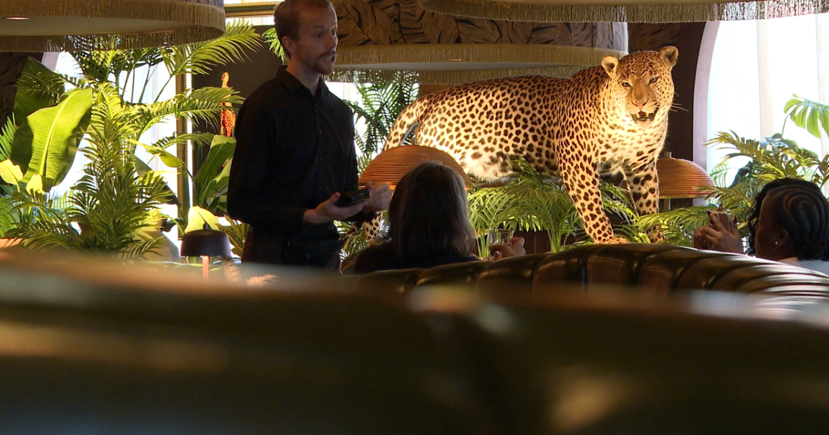Filthy Animal earns national recognition for jungle-themed dining