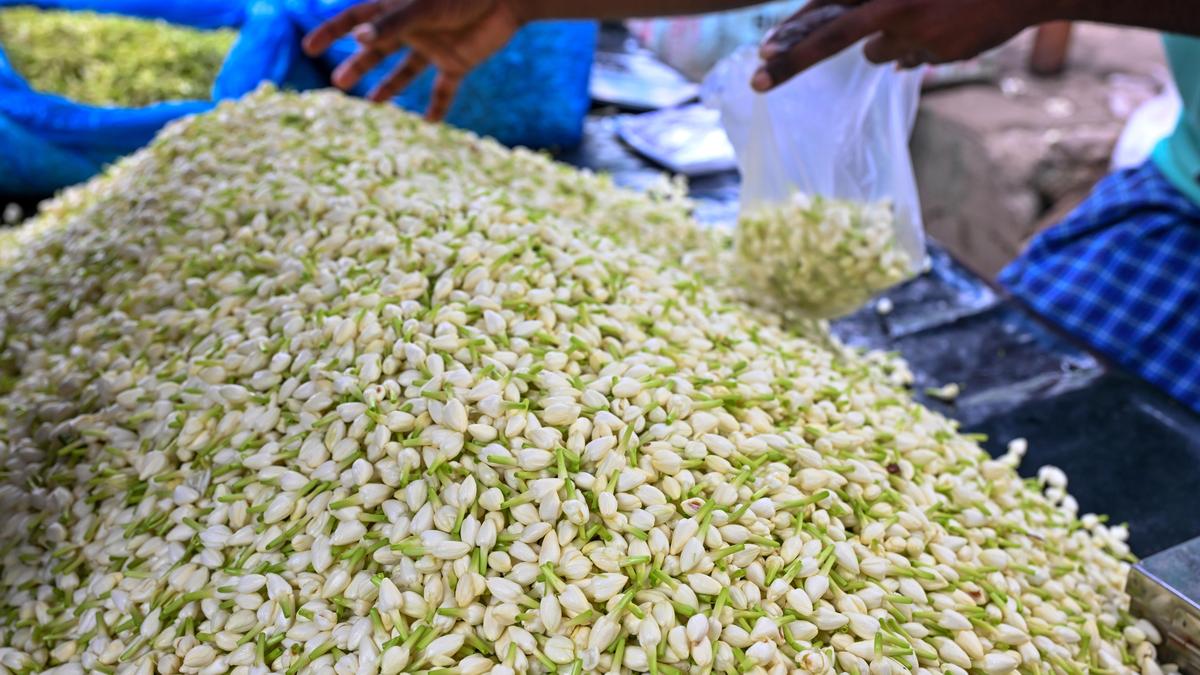 Flower prices skyrocket across Madurai and southern districts ahead of Ayudha puja