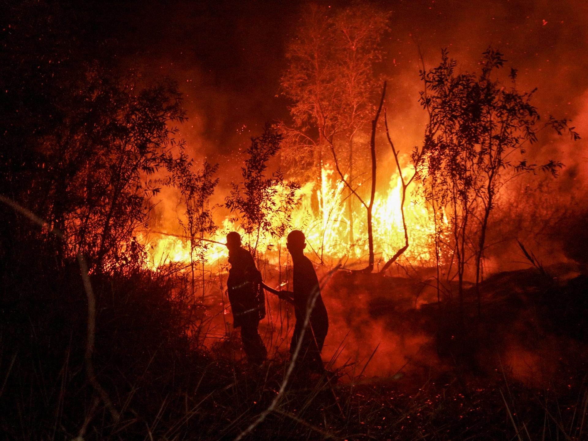 Four killed as Indonesia battles worst forest fires in more than a decade | Climate News