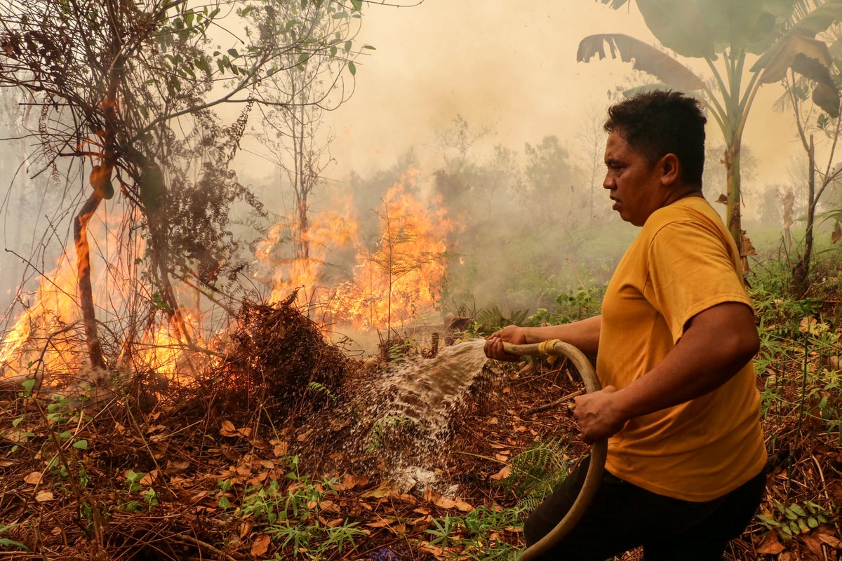 Four killed as wildfire traps firefighters in Indonesian national park