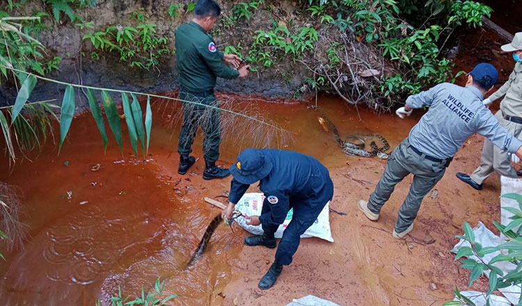 Govt takes over rescued wildlife care programme after 25-year partnership