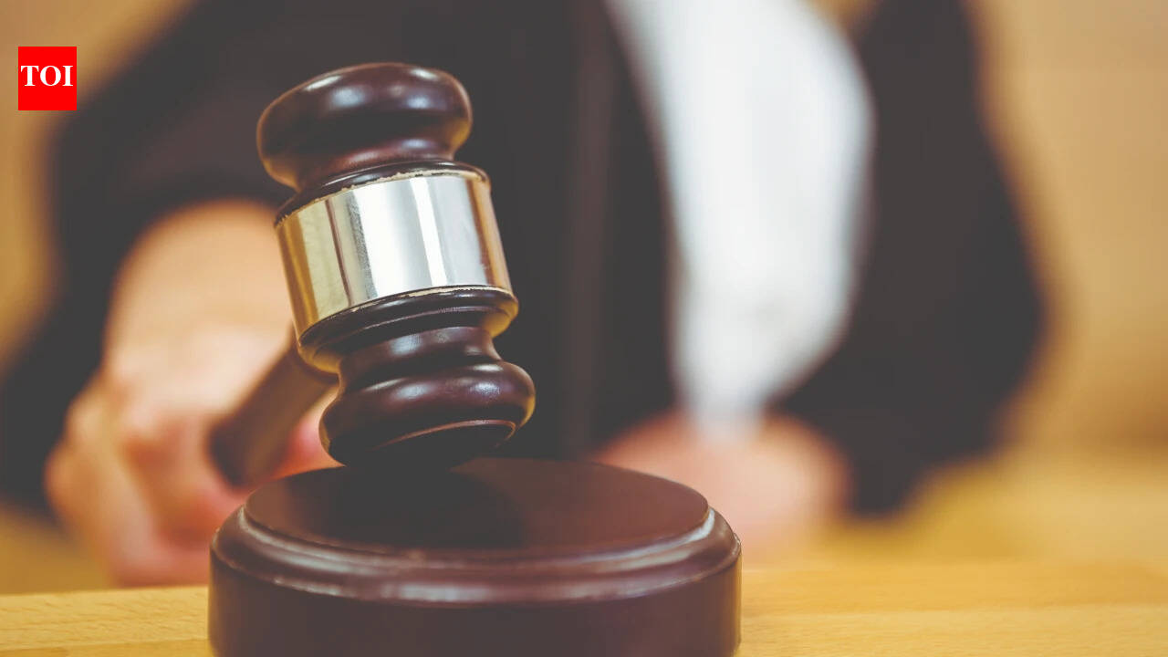 HC questions Assam government on woman sent to Bangladesh | India News