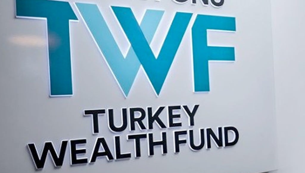 IMF finds Turkey wealth fund omits audit from website disclosures