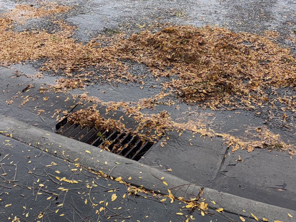 Idaho Falls asks residents to check storm drains amidst continuing rain showers