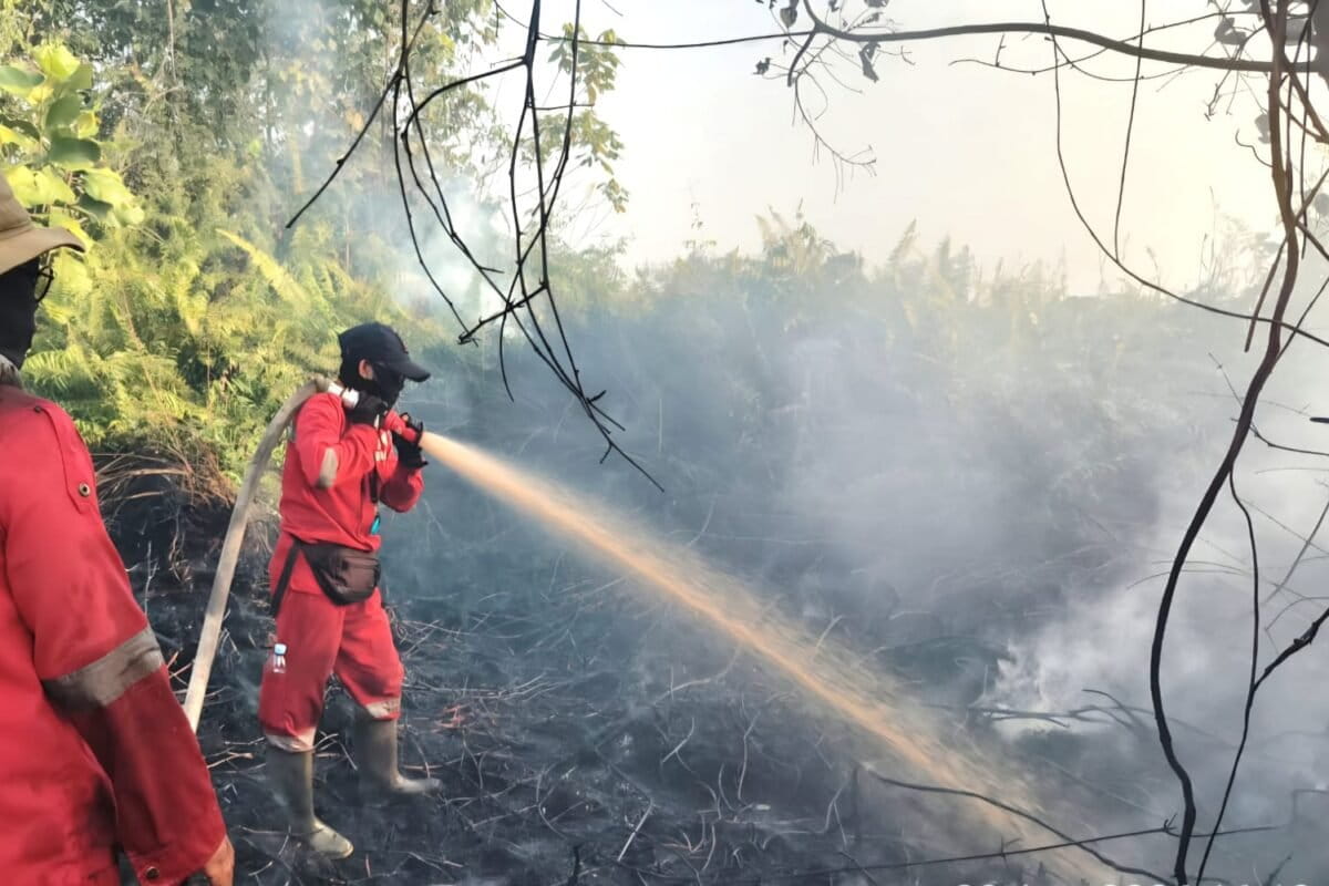 Indonesia comes under fire for response to burning and haze