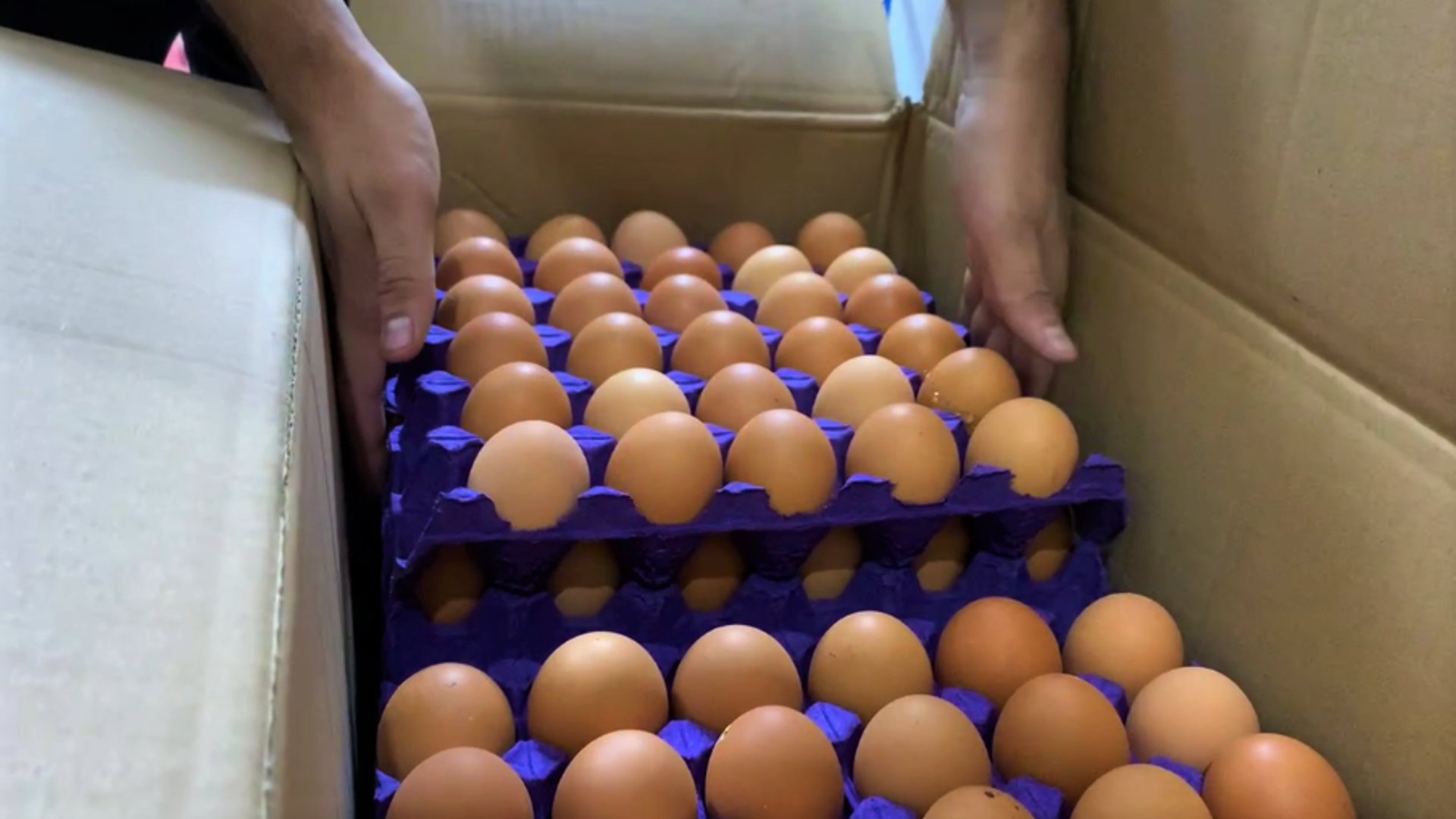 Iraq halts tariffs on poultry and eggs amid rising food inflation