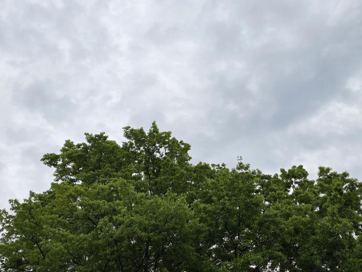 Isaias rain prompts event cancellations