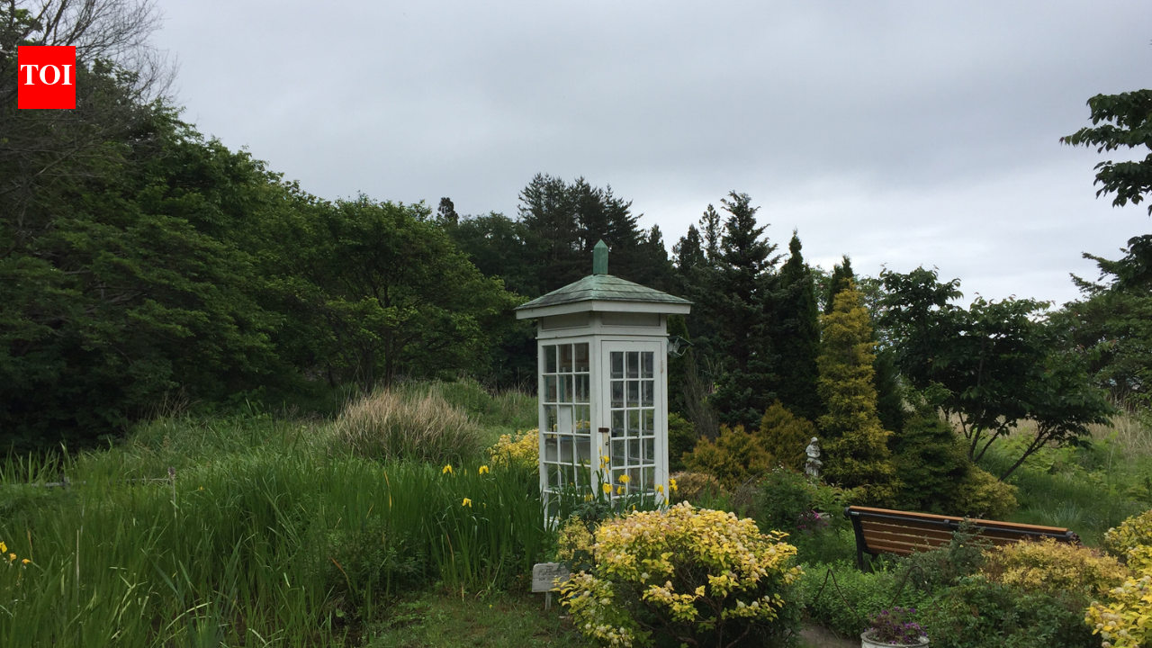 Japan’s ‘Phone Booth to the Dead’: The mysterious telephone booth where people go to talk to their loved ones who have passed away