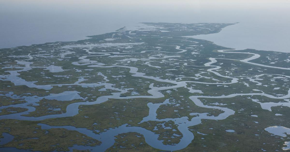 Louisiana settles with BP on coastal damage | Environment