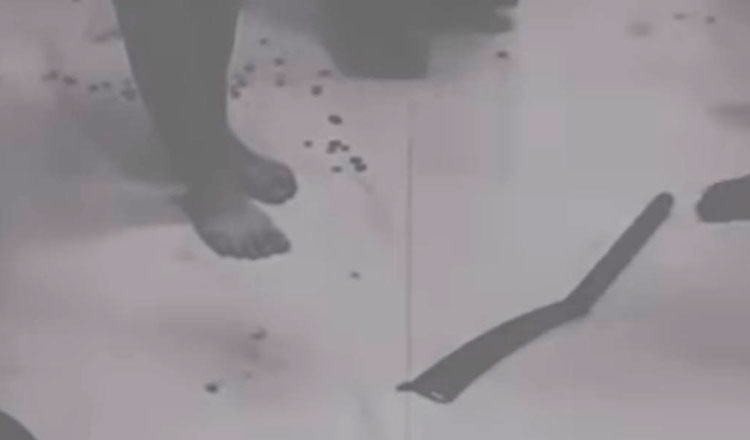 Man attacks ex-wife and dies by suicide in Phnom Penh