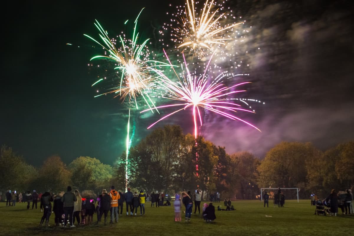 Mansfield Woodhouse vet reveals how a firework bang affects your dog