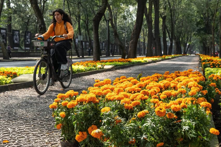 A woman rides a bicycle past marigolds on Mexico City
