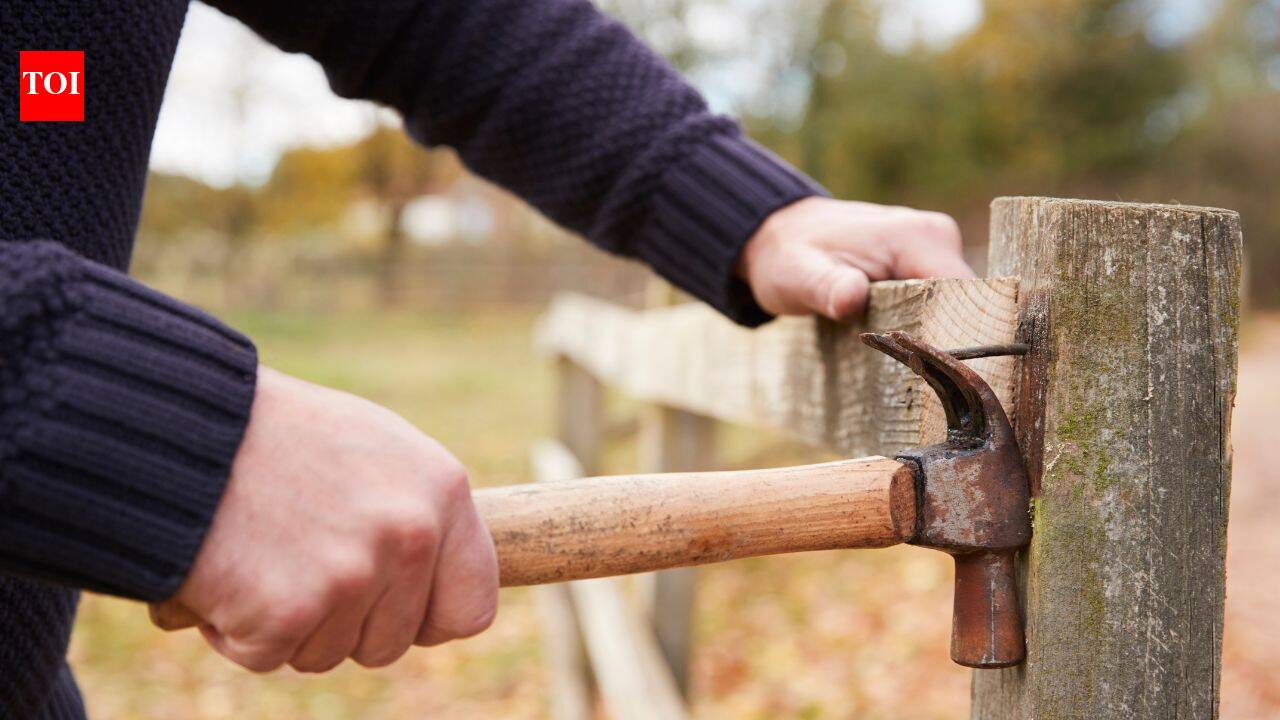 Missouri man was fixing a fence after a months-long property-line dispute when his neighbour allegedly fired a shot; police say video showed a 60-year-old woman pointing a gun at the fence, and court set $500,000 bond