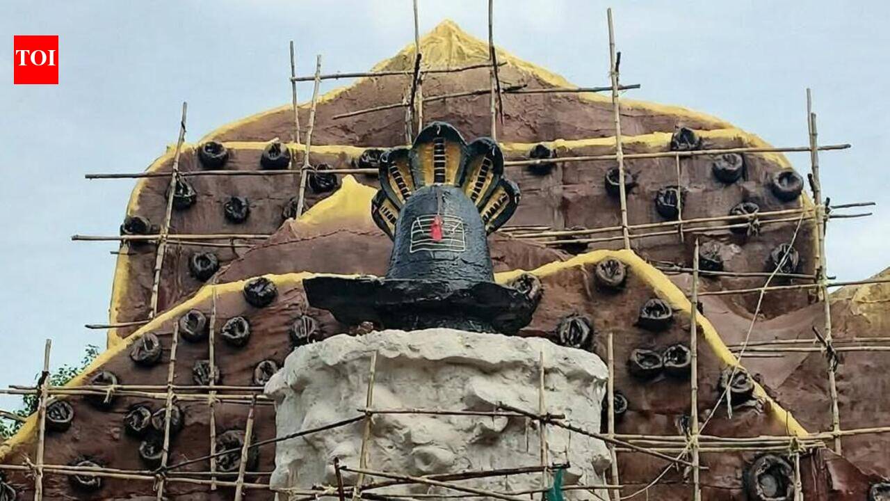 Nag-Lok themed pandal to be star attraction at Katghar Durga Puja Park | Prayagraj News