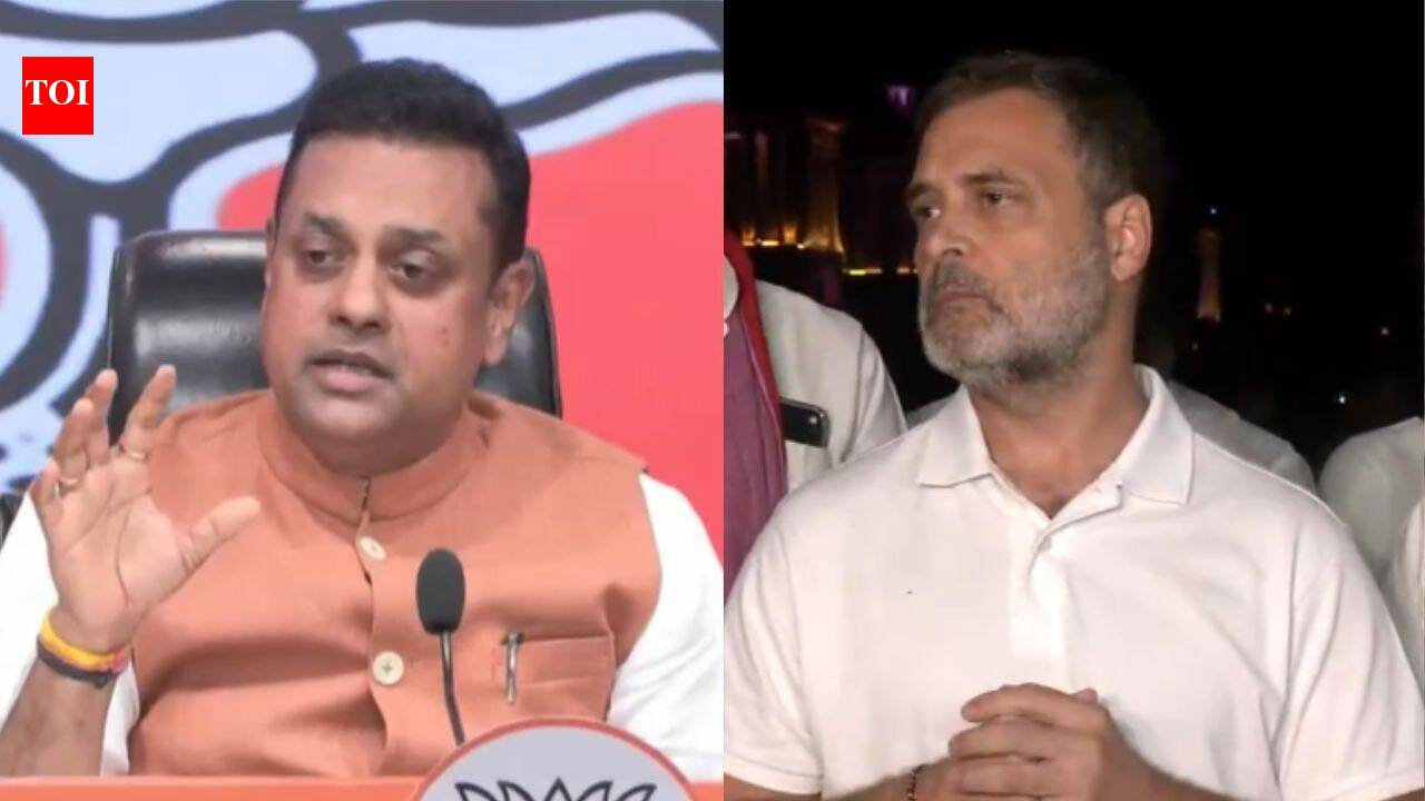 'Nalayak neta': BJP accuses Rahul of dragging President into 'street fights', creating 'anarchy' | India News