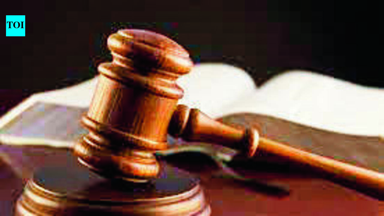 No negligence in minor rape survivor’s C-section, MLNMC doc tells HC | Prayagraj News