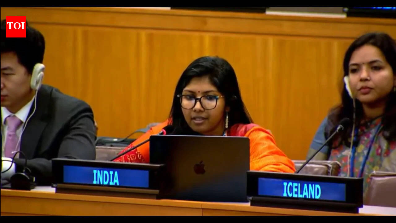'No standing to lecture India': New Delhi hits out at Pakistan over minority rights at UN | India News