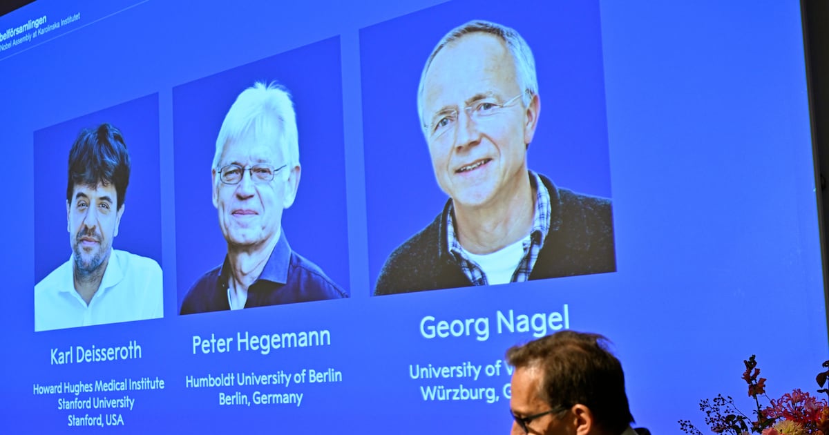 Nobel medicine prize goes to 3 scientists for pioneering research into brain activity