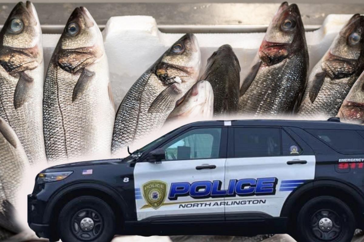 North Arlington police stop $273,000 seafood theft from truck