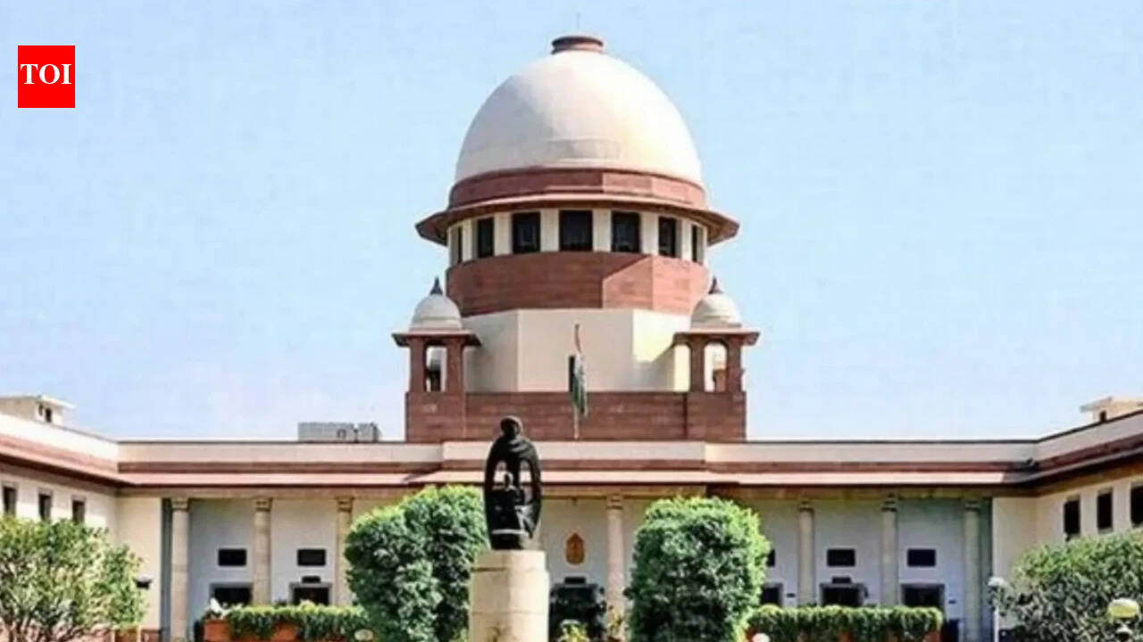 Order preservation of SIR files & notings, petitioners urge SC | India News