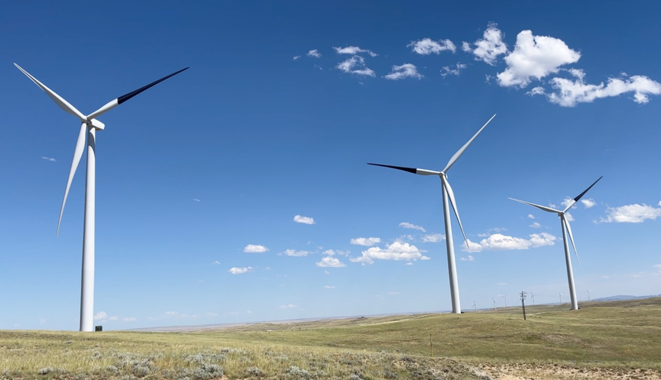 Painted wind turbines can dramatically reduce bird deaths, study finds
