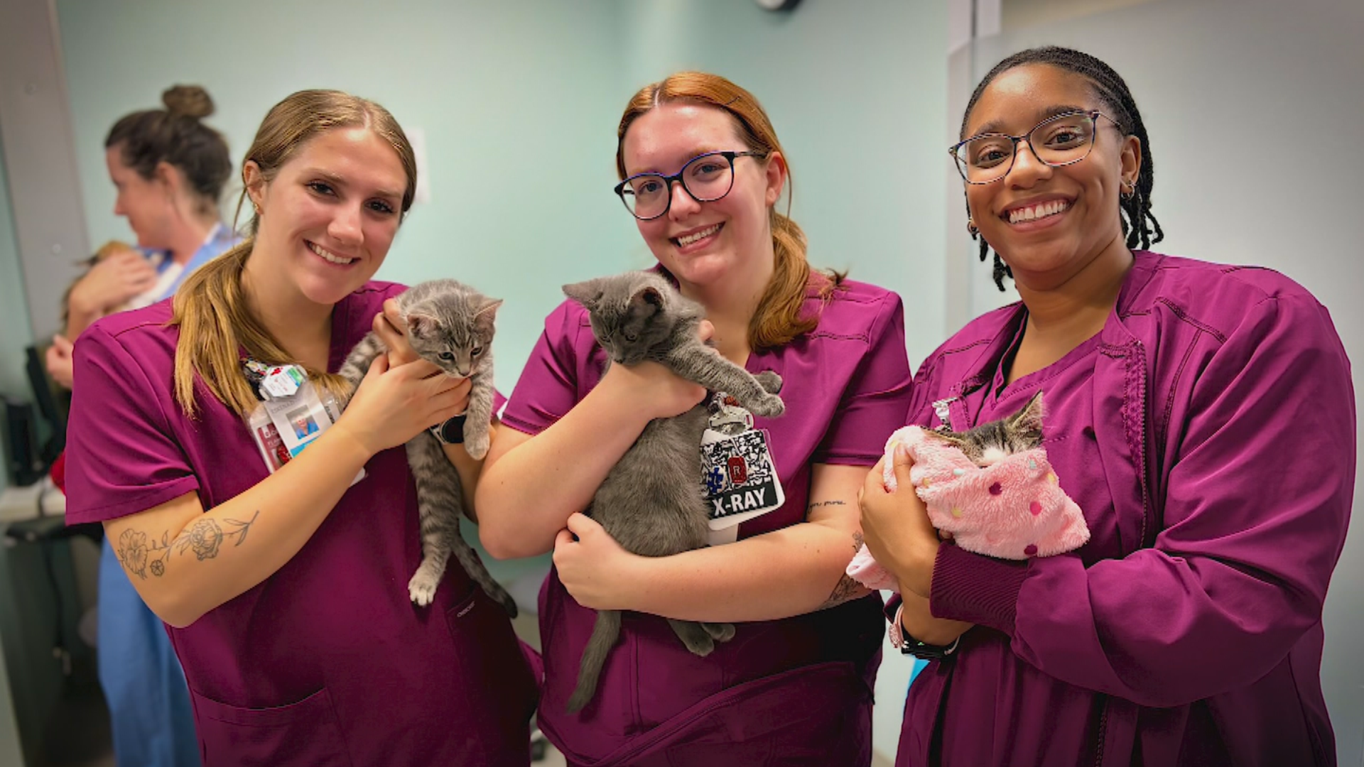 'Pet Pals TV': A look into Eskenazi Health's animal therapy program