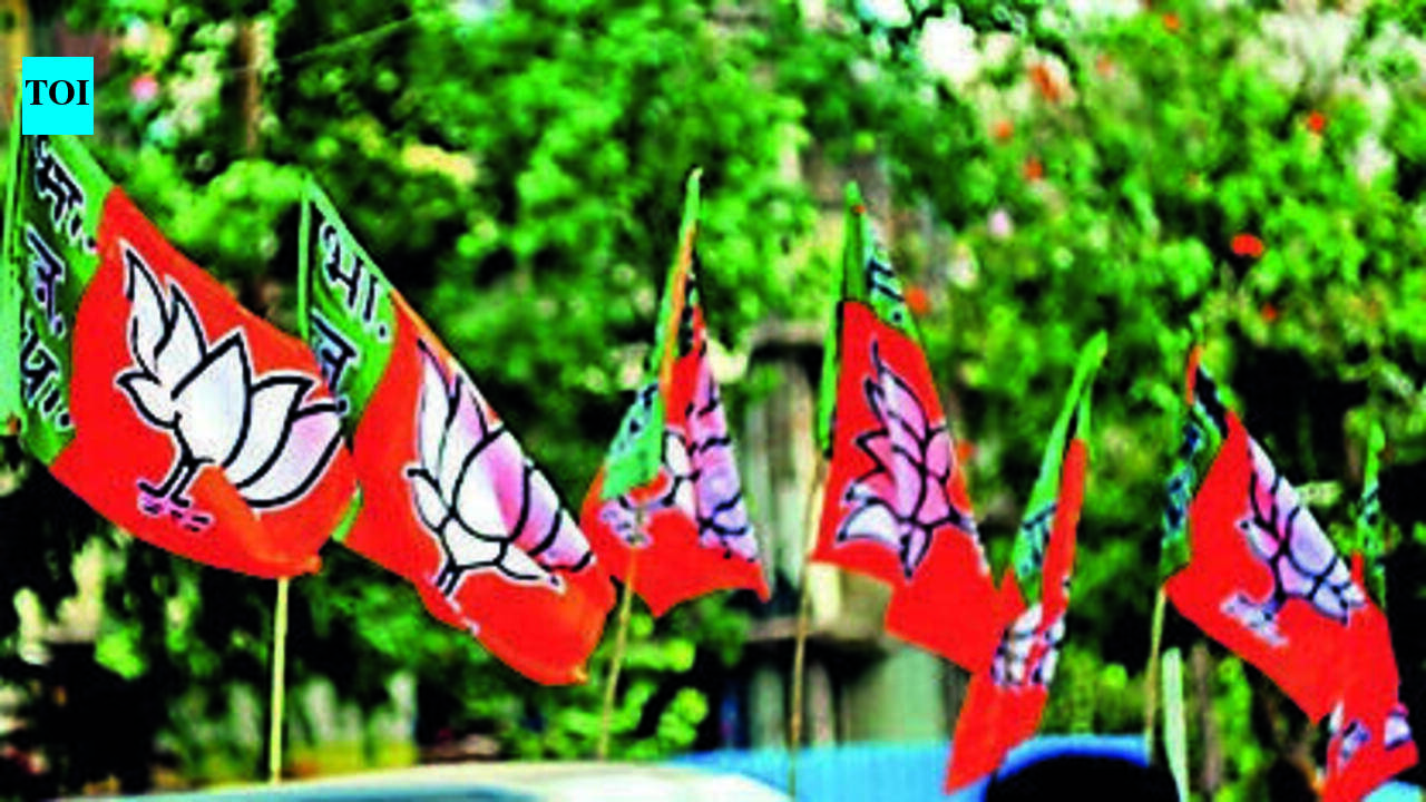 Protest is Oppn’s bid to intimidate EC, confuse public: BJP | Prayagraj News