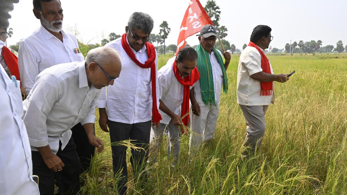 Raghavulu demands relief for ryots
